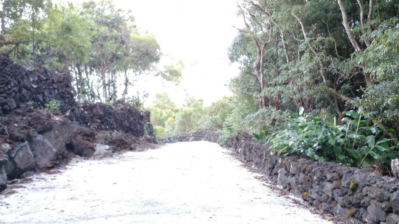 Adega Ramalho Villa Canto da Areia Esterno foto